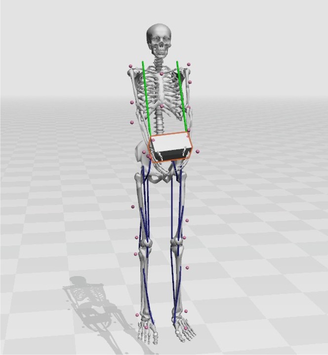 Exoskeleton Validation with Simulation